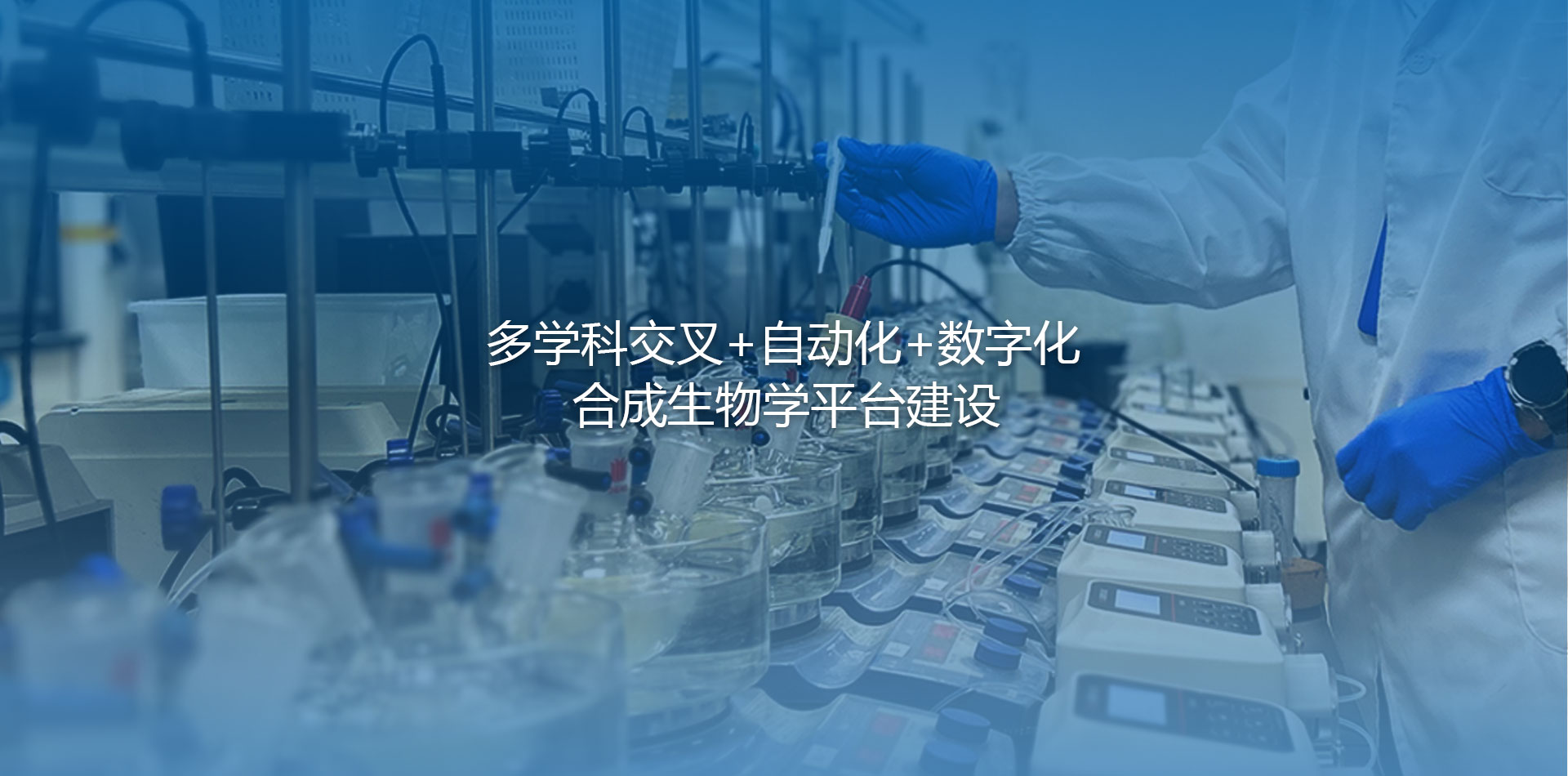 杏彩体育网
多学科交叉+自动化+数字化