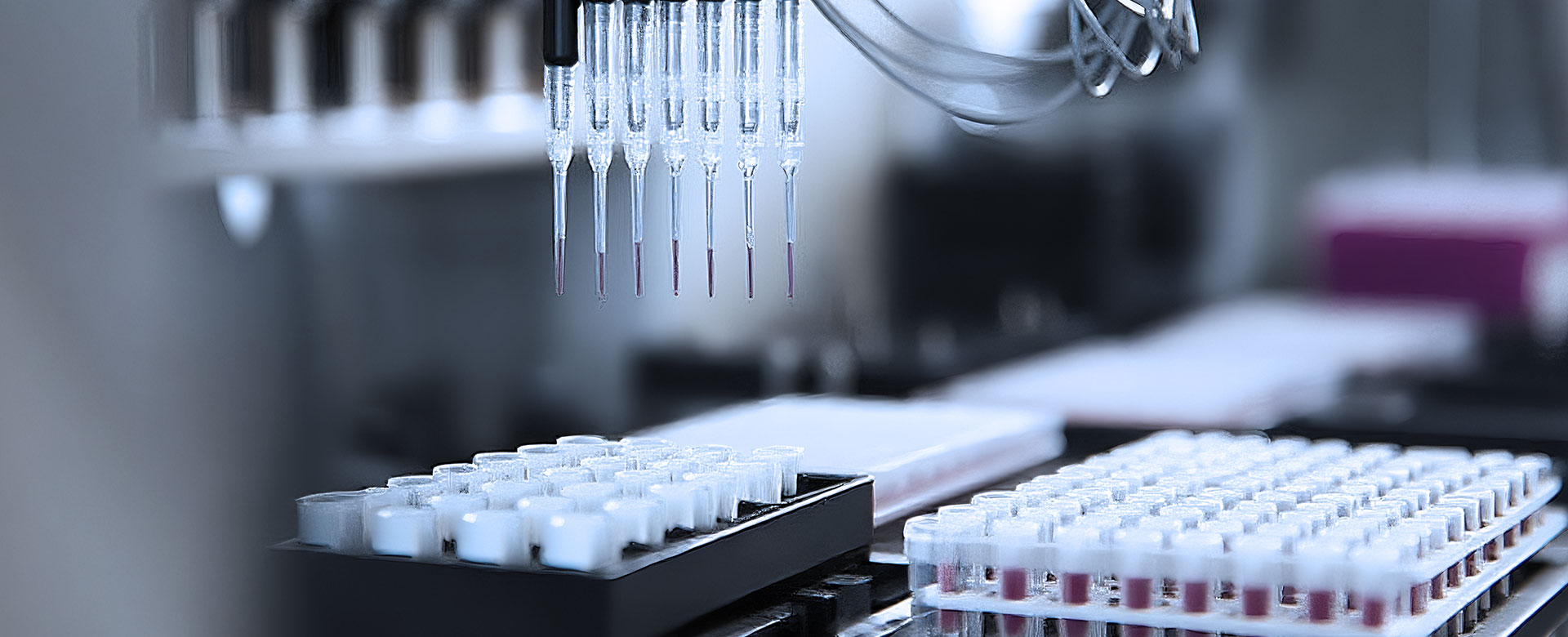 杏彩体育网
科研与创新