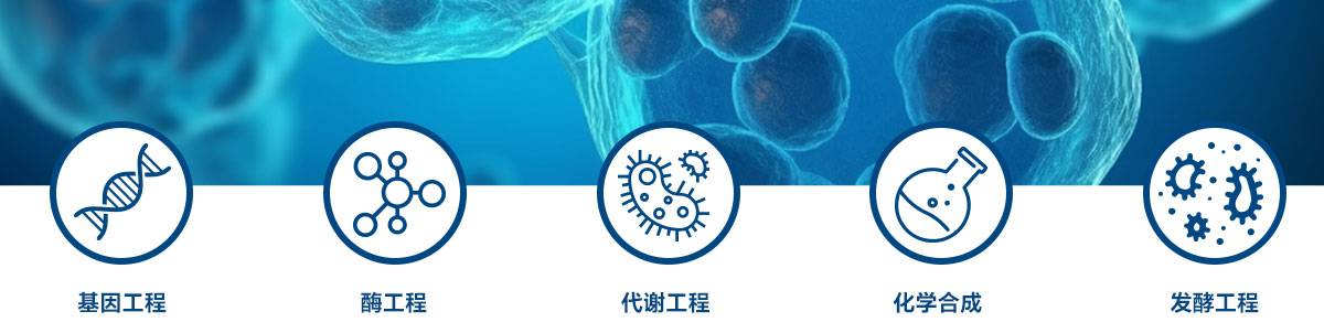 杏彩体育网
技术实力